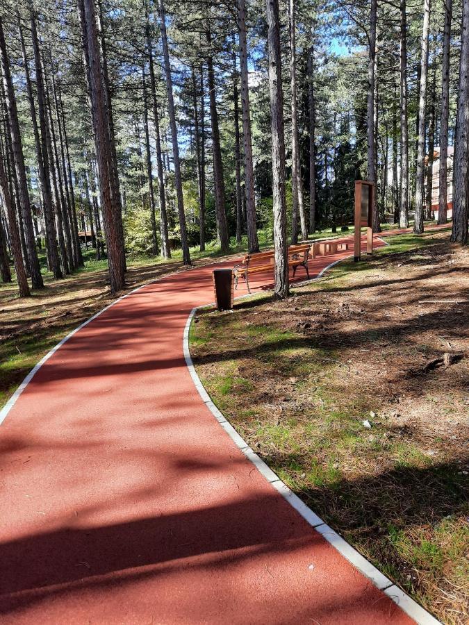 Zlatibor M Leilighet Eksteriør bilde
